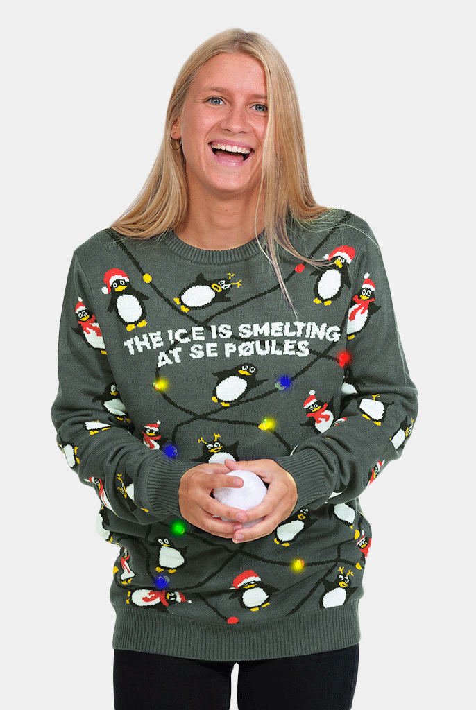 Maglione Natalizio di Coppia Donna con Luci LED Grigio con Pinguini