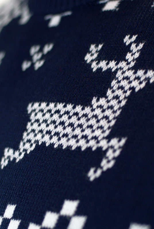 Maglione Natalizio Famiglia Blu Polo Nord