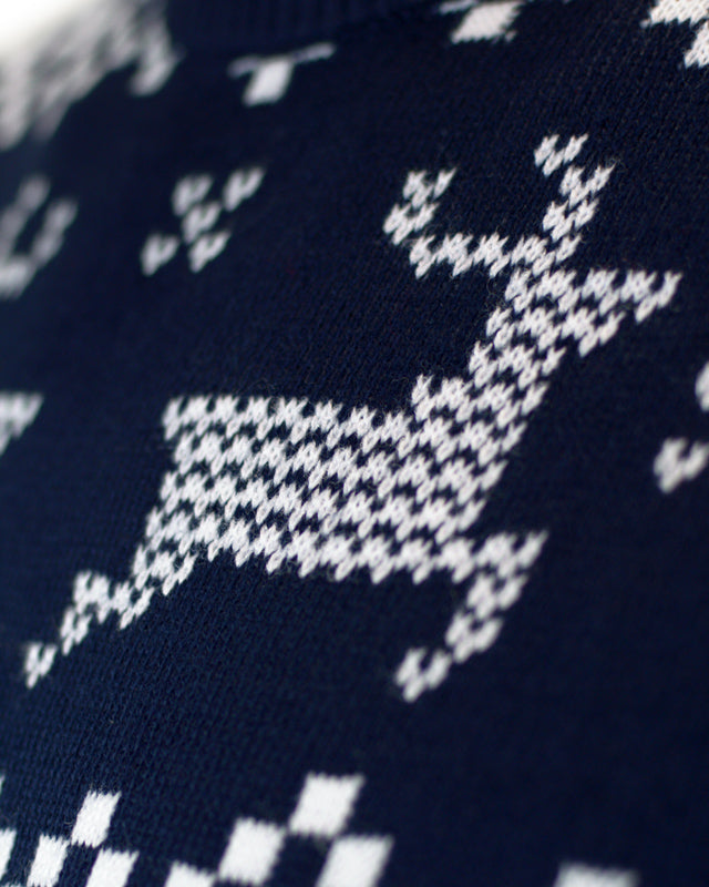 Maglione Natalizio Famiglia Blu Polo Nord