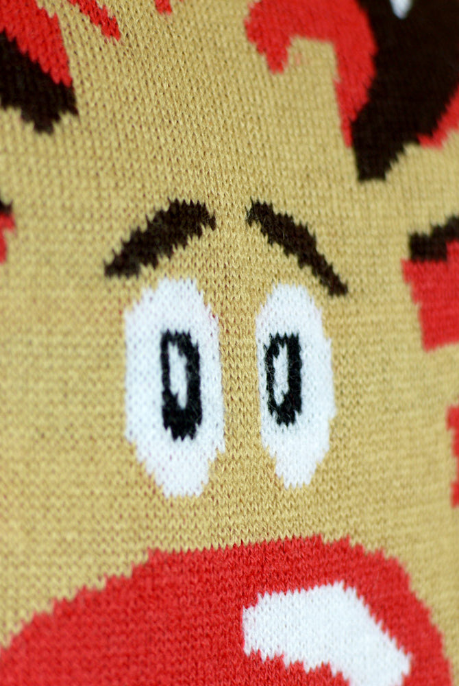 Maglione Natalizio Famiglia in Cotone Biologico Renna Sciarpa