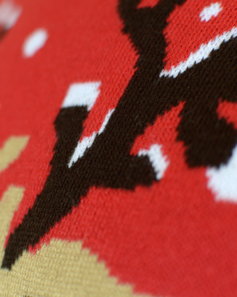 Maglione Natalizio per la Famiglia Cotone Biologico Renna Sciarpa