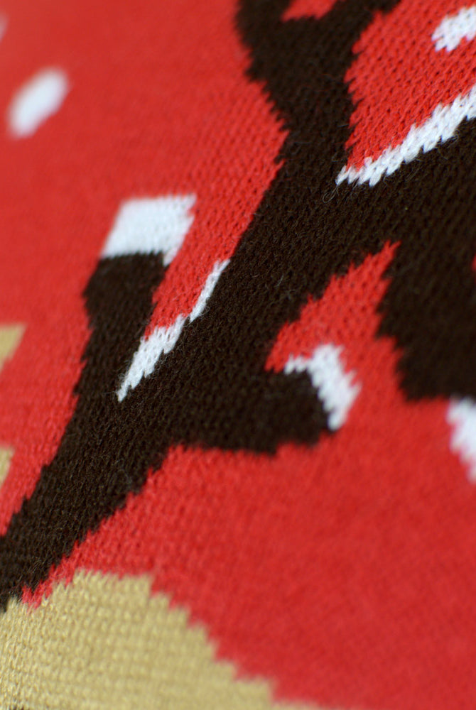 Maglione Natalizio per la Famiglia Cotone Biologico Renna Sciarpa