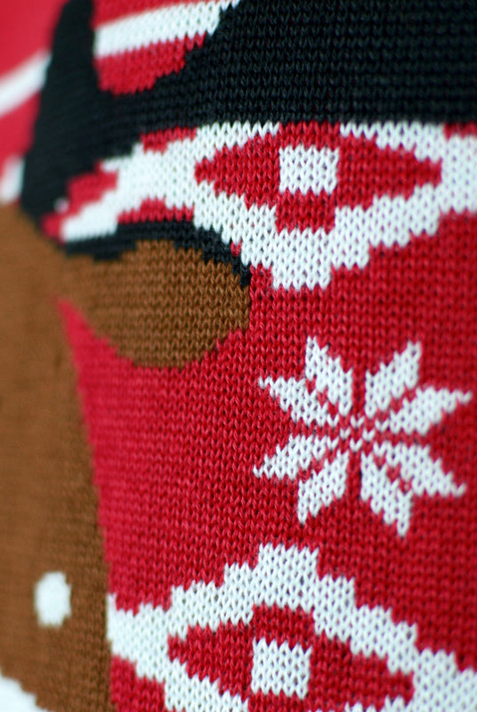 Renna Rudolph con Sciarpa Maglione Natalizio per la Famiglia Rosso