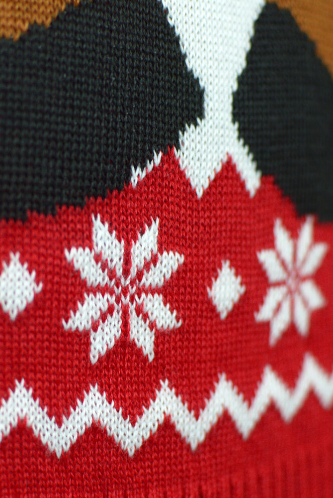Renna Rudolph con Sciarpa Maglione Natalizio da Uomo Rosso